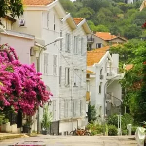 Princes Islands Tour to Buyukada and Kinaliada